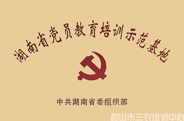 中心榮譽(圖6)